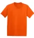 5370 Hanes® Heavyweight 50/50 Youth T-shirt Orange front view