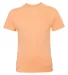 5450 Hanes® Authentic Tagless Youth T-shirt Candy Orange front view