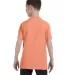 5450 Hanes® Authentic Tagless Youth T-shirt Candy Orange back view
