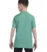 5450 Hanes® Authentic Tagless Youth T-shirt Clean Mint back view