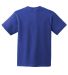 Hanes 5450 Authentic Tagless Youth T-shirt in Deep royal back view