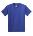 Hanes 5450 Authentic Tagless Youth T-shirt in Deep royal front view