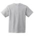 Hanes 5450 Authentic Tagless Youth T-shirt in Light steel back view