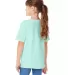 Hanes 5480 Heavyweight Youth T-shirt in Clean mint back view
