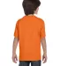 Hanes 5480 Heavyweight Youth T-shirt in Orange back view