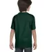 Hanes 5480 Heavyweight Youth T-shirt in Deep forest back view