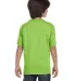 Hanes 5480 Heavyweight Youth T-shirt in Lime back view