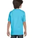Hanes 5480 Heavyweight Youth T-shirt in Light blue back view