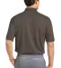 363807 Nike Golf Dri FIT Micro Pique Polo  in Trls end brown back view