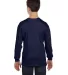 Hanes Youth Tagless 100 Cotton Long Sleeve T Shirt Navy back view