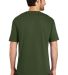 District Made Mens Perfect Weight Crew Tee DT104 in Thyme green back view