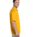 8800 Gildan® Polo Ultra Blend® Sport Shirt in Gold side view
