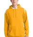 Sport Tek Pullover Hooded Sweatshirt with Contrast Athletic Gold front view