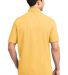 Port Authority EZCotton153 Pique Polo K800 in Maize yellow back view