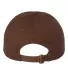 Valucap VC300 Adult Washed Dad Hat Brown back view