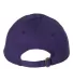 Valucap VC300 Adult Washed Dad Hat Purple back view