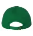 Valucap VC300 Adult Washed Dad Hat Kelly back view