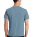 Port & Company Essential Pigment Dyed Tee PC099 in Mist back view