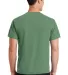 Port & Company Essential Pigment Dyed Tee PC099 in Safari back view