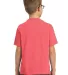 Port & Company Youth Essential Pigment Dyed Tee PC FruitPunch back view