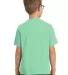 Port & Company Youth Essential Pigment Dyed Tee PC Jadeite back view
