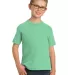 Port & Company Youth Essential Pigment Dyed Tee PC Jadeite front view