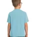 Port & Company Youth Essential Pigment Dyed Tee PC Mist back view