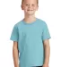 Port & Company Youth Essential Pigment Dyed Tee PC Mist front view