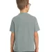 Port & Company Youth Essential Pigment Dyed Tee PC Pewter back view