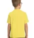 Port & Company Youth Essential Pigment Dyed Tee PC Popcorn back view