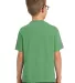 Port & Company Youth Essential Pigment Dyed Tee PC Safari back view
