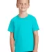 Port & Company Youth Essential Pigment Dyed Tee PC Tidal Wave front view