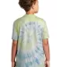Port & Company Youth Essential Tie Dye Tee PC147Y Watercolor Sp back view