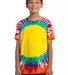 Port & Company Youth Essential Window Tie Dye Tee  Rainbow front view