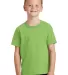 Port & Company Youth 5.4 oz 100 Cotton T Shirt PC5 Lime front view
