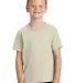 Port & Company Youth 5.4 oz 100 Cotton T Shirt PC5 Natural front view