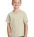 Port & Company Youth 5.4 oz 100 Cotton T Shirt PC5 in Natural