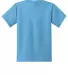 Port & Company Youth 5050 CottonPoly T Shirt PC55Y in Aquatic blue back view