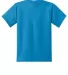 Port & Company Youth 5050 CottonPoly T Shirt PC55Y in Sapphire back view