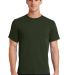 Port & Company Essential T Shirt PC61 in Olive