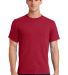 Port & Company Essential T Shirt PC61 in Red