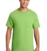 Port & Company Essential T Shirt with Pocket PC61P in Lime front view