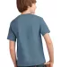 Port & Company Youth Essential T Shirt PC61Y Stonewshd Blue back view