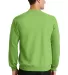 Port  Company Classic Crewneck Sweatshirt PC78 Lime back view