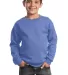 Port & Company Youth Crewneck Sweatshirt PC90Y Carolina Blue front view