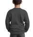Port & Company Youth Crewneck Sweatshirt PC90Y Charcoal back view