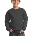 Port & Company Youth Crewneck Sweatshirt PC90Y Charcoal front view