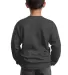 Port & Company Youth Crewneck Sweatshirt PC90Y Dark Hthr Grey back view