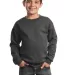 Port & Company Youth Crewneck Sweatshirt PC90Y Dark Hthr Grey front view