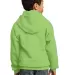 Port  Company Youth Pullover Hooded Sweatshirt PC9 Lime back view